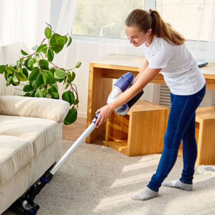 professional carpet cleaner in adelaide